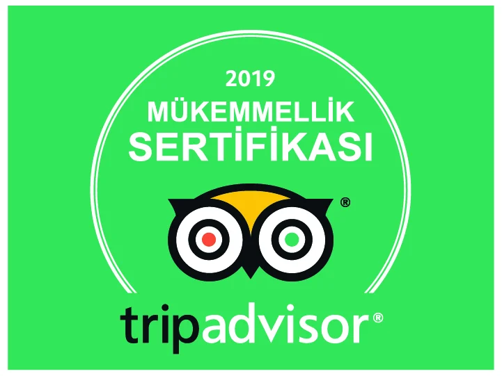 Achievement Award 2019